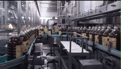 云賞金龍魚蝦田稻，共憶香韻外婆情